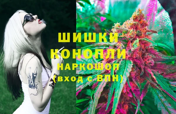 Альфа ПВП Инсар