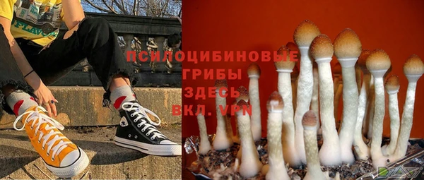 ешки Белоозёрский