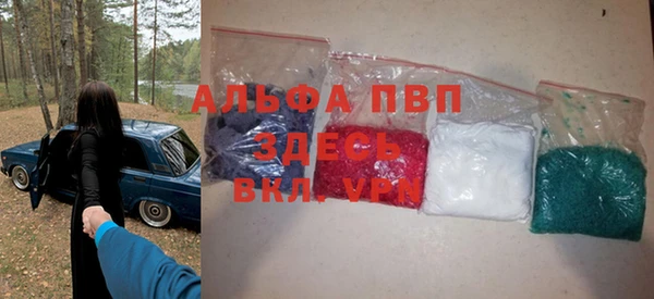 спиды Белокуриха