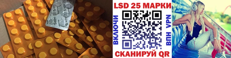 как найти наркотики  Шагонар  Лсд 25 экстази ecstasy 