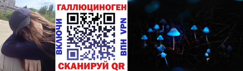 Галлюциногенные грибы Cubensis  Шагонар 