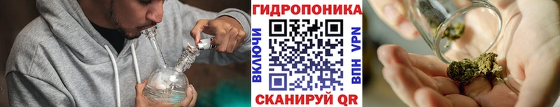 Шишки марихуана гибрид  Шагонар 